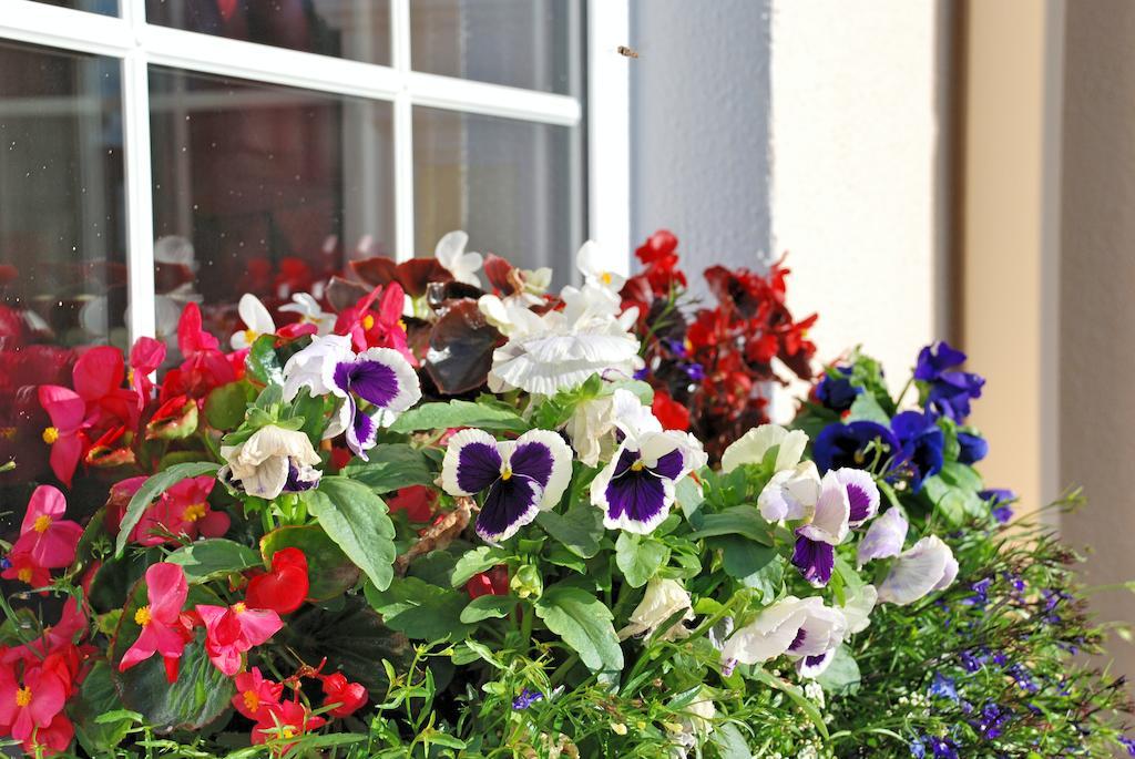 Lemongrove House Bed & Breakfast Enniscorthy Luaran gambar